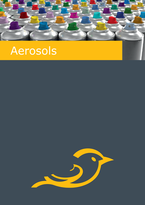 Flyer-Aerosols-2012-1.png